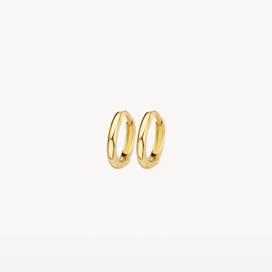 Earrings Blush | 14K Yellow Gold