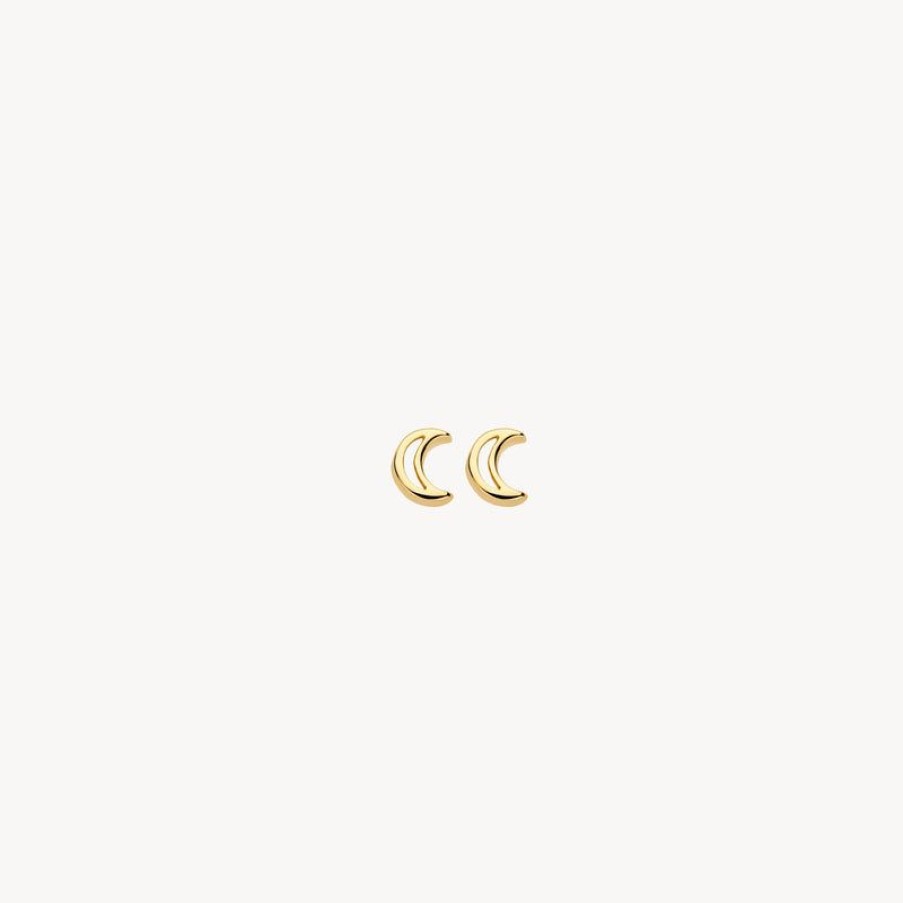 Earrings Blush | 14K Yellow Gold