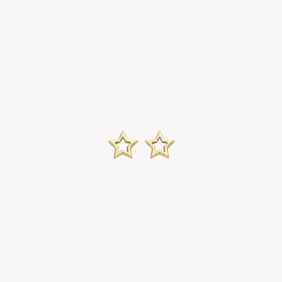 Earrings Blush | 14K Yellow Gold