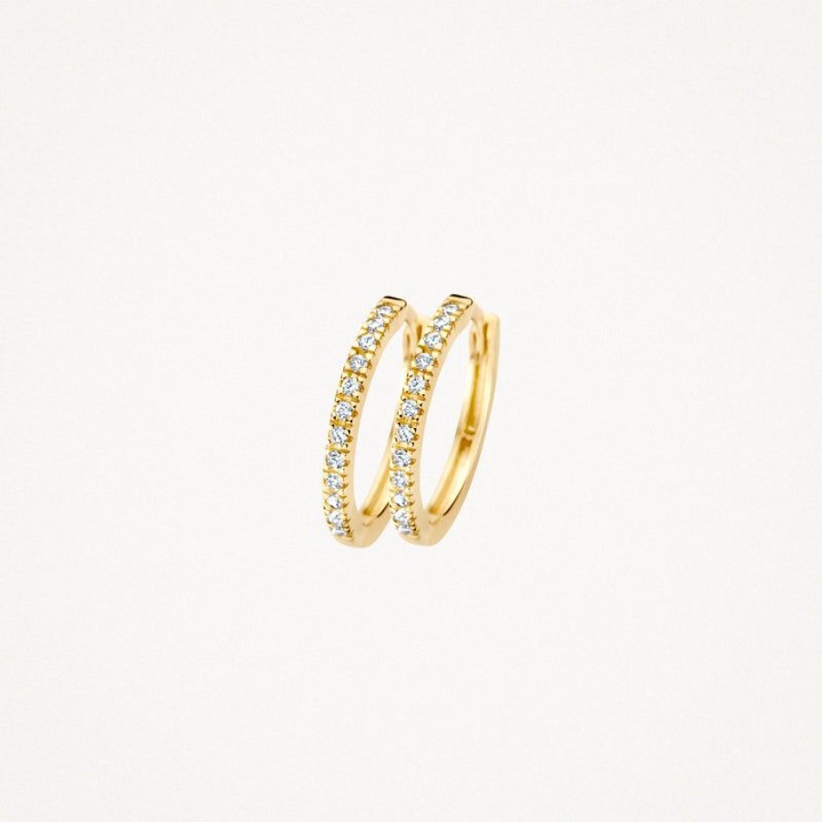 Earrings Blush | 14 Yellow Gold With Zirconia