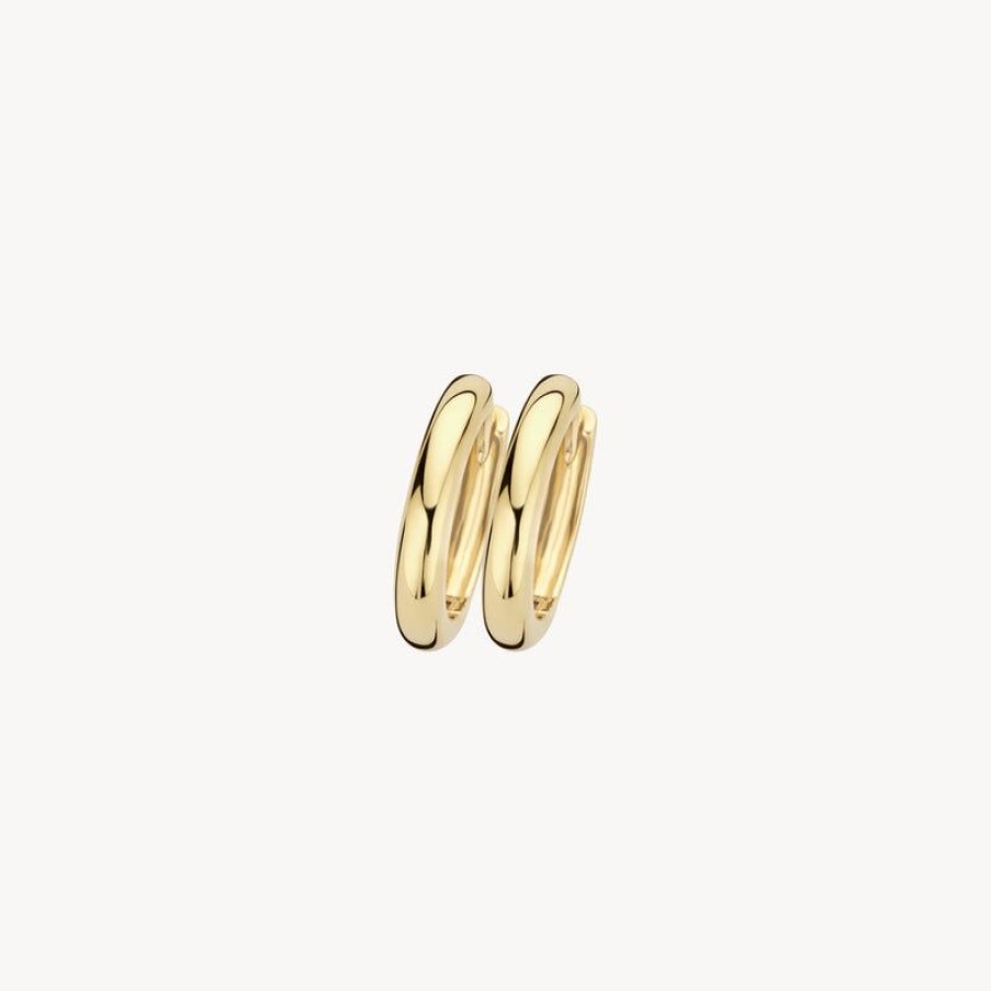 Earrings Blush | 14K Yellow Gold