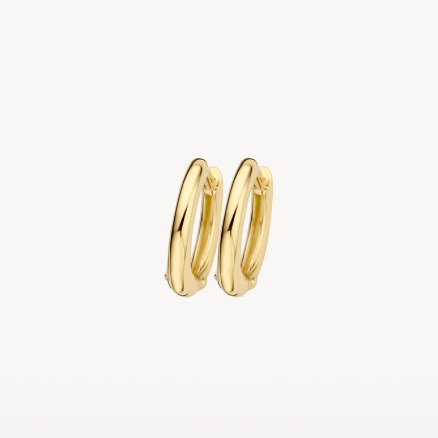 Earrings Blush | 14K Yellow Gold