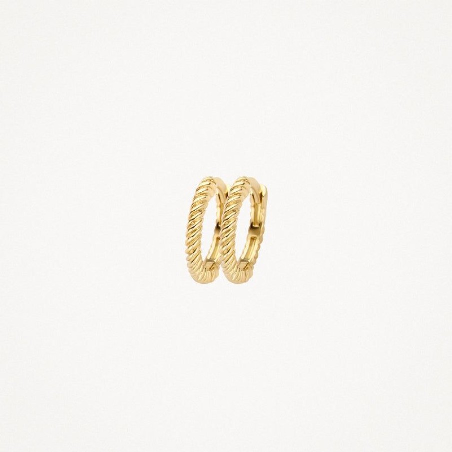 Earrings Blush | 14K Yellow Gold