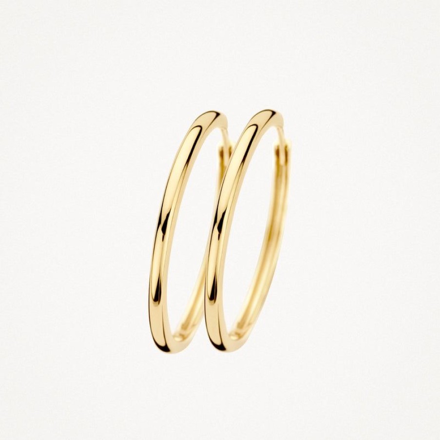 Earrings Blush | 14 Yellow Gold