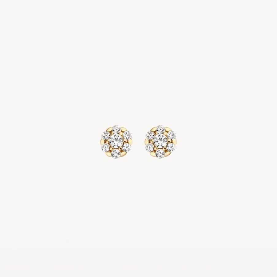 Earrings Blush | 14K Yellow Gold With Zirconia