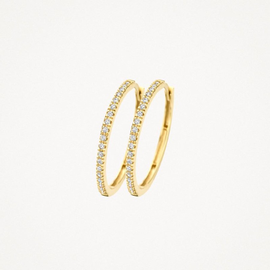 Earrings Blush | 14K Yellow Gold With Zirconia