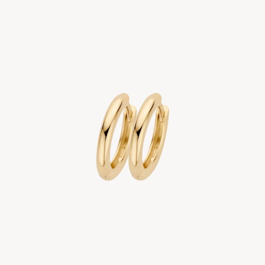 Earrings Blush | 14K Yellow Gold