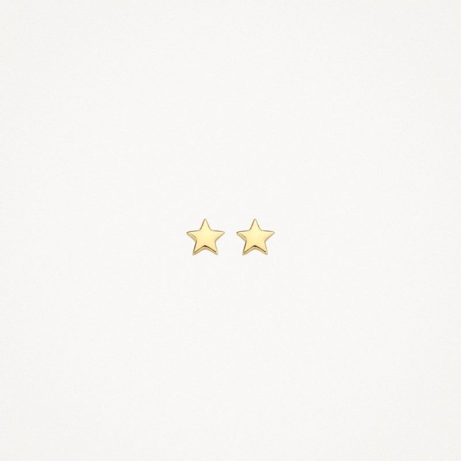 Earrings Blush | 14K Yellow Gold