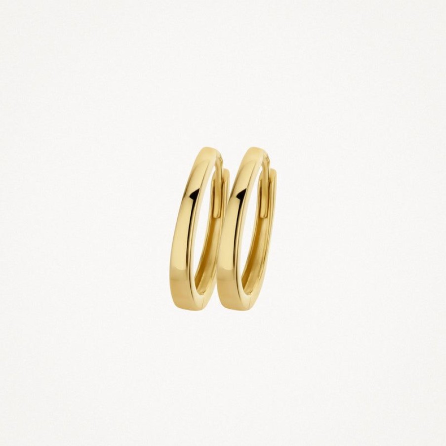 Earrings Blush | 14K Yellow Gold