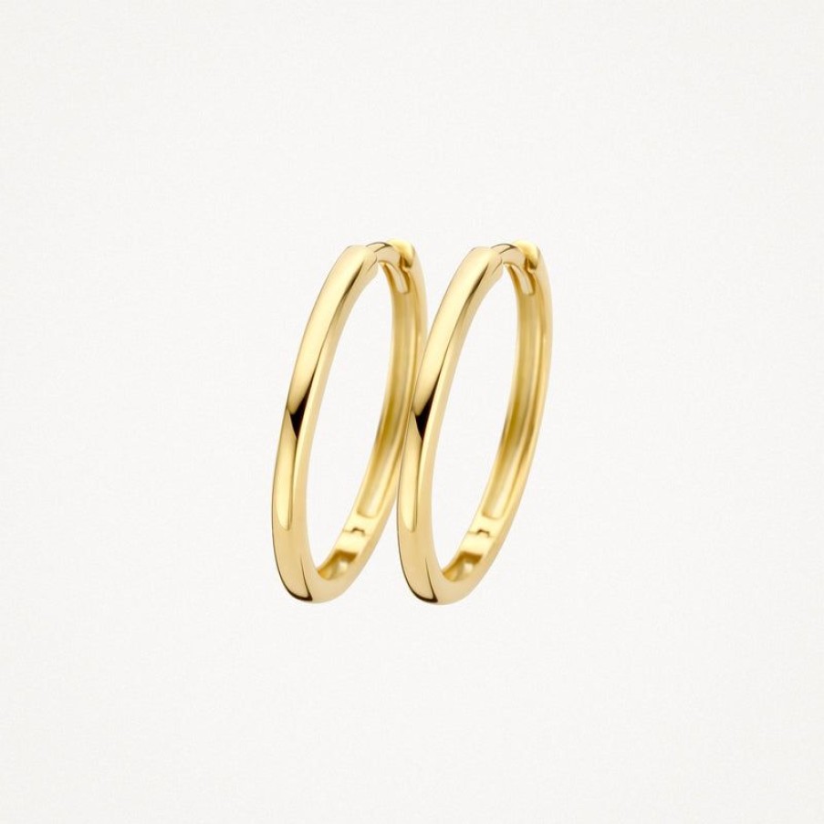 Earrings Blush | 14K Yellow Gold