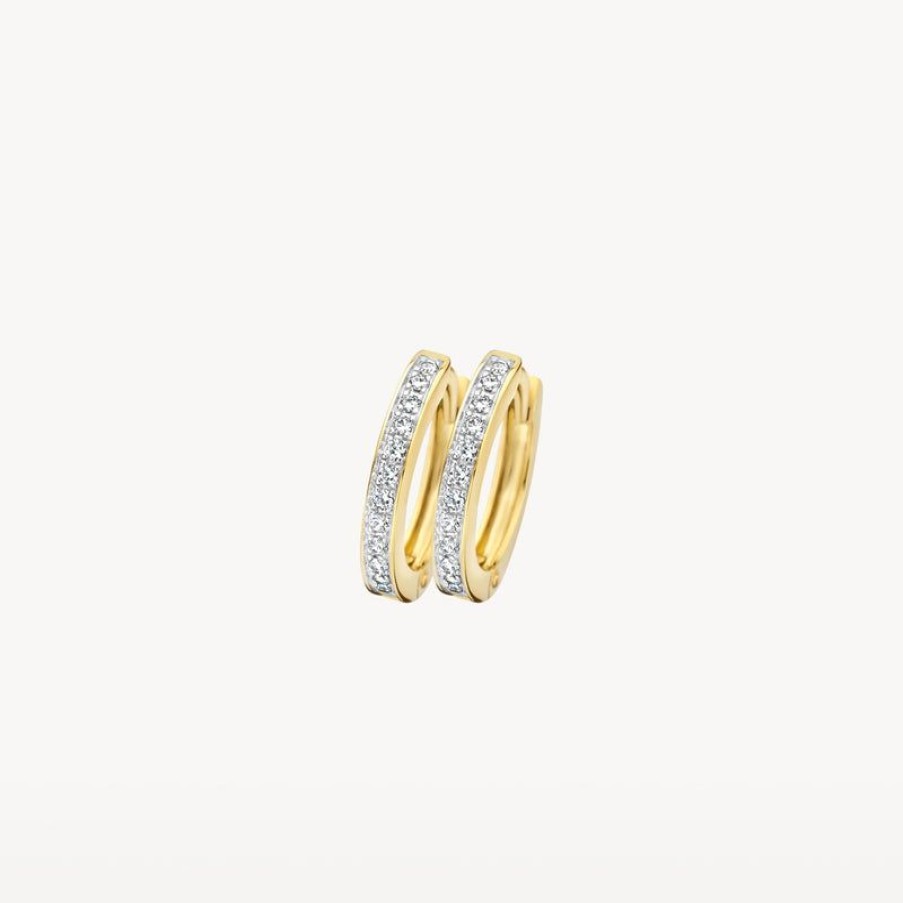 Earrings Blush | 14K Gold And White Gold With Zirconia