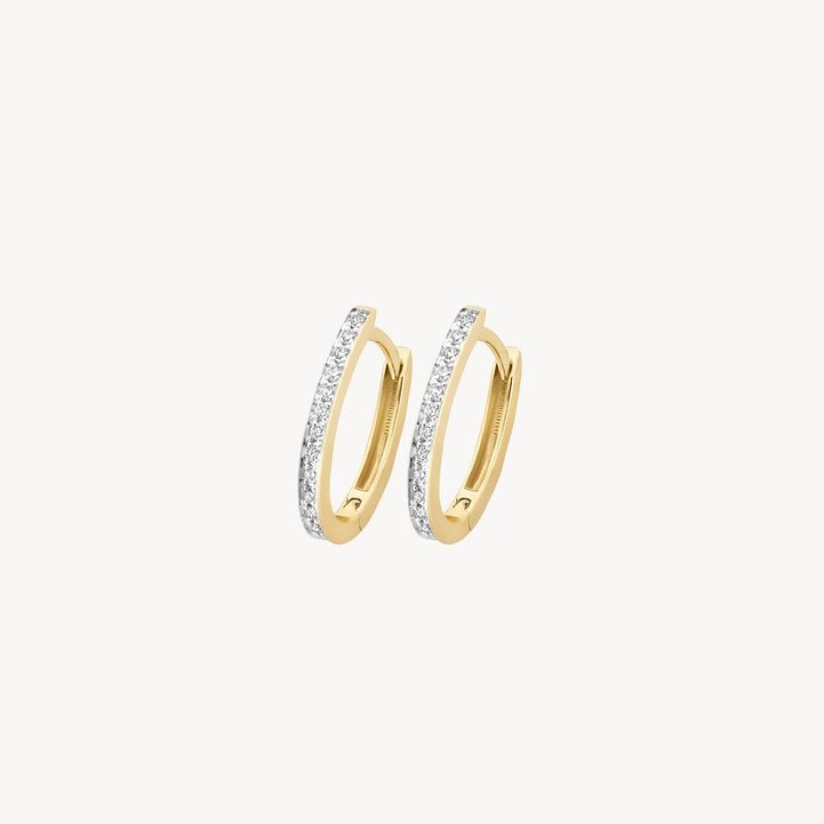 Earrings Blush | 14K Yellow Gold With Diamond