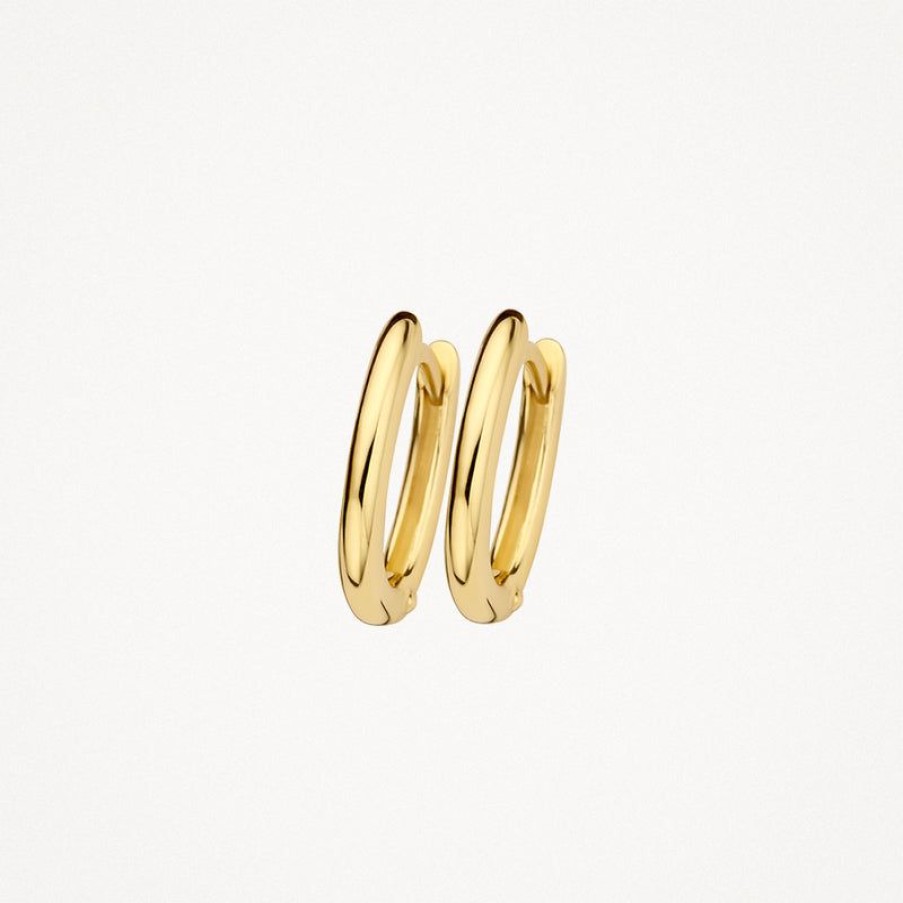 Earrings Blush | 14K Yellow Gold