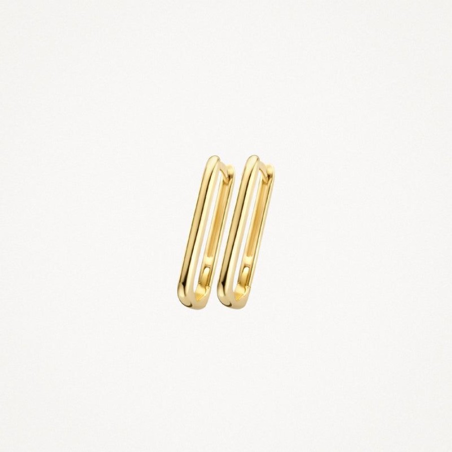 Earrings Blush | 14K Yellow Gold