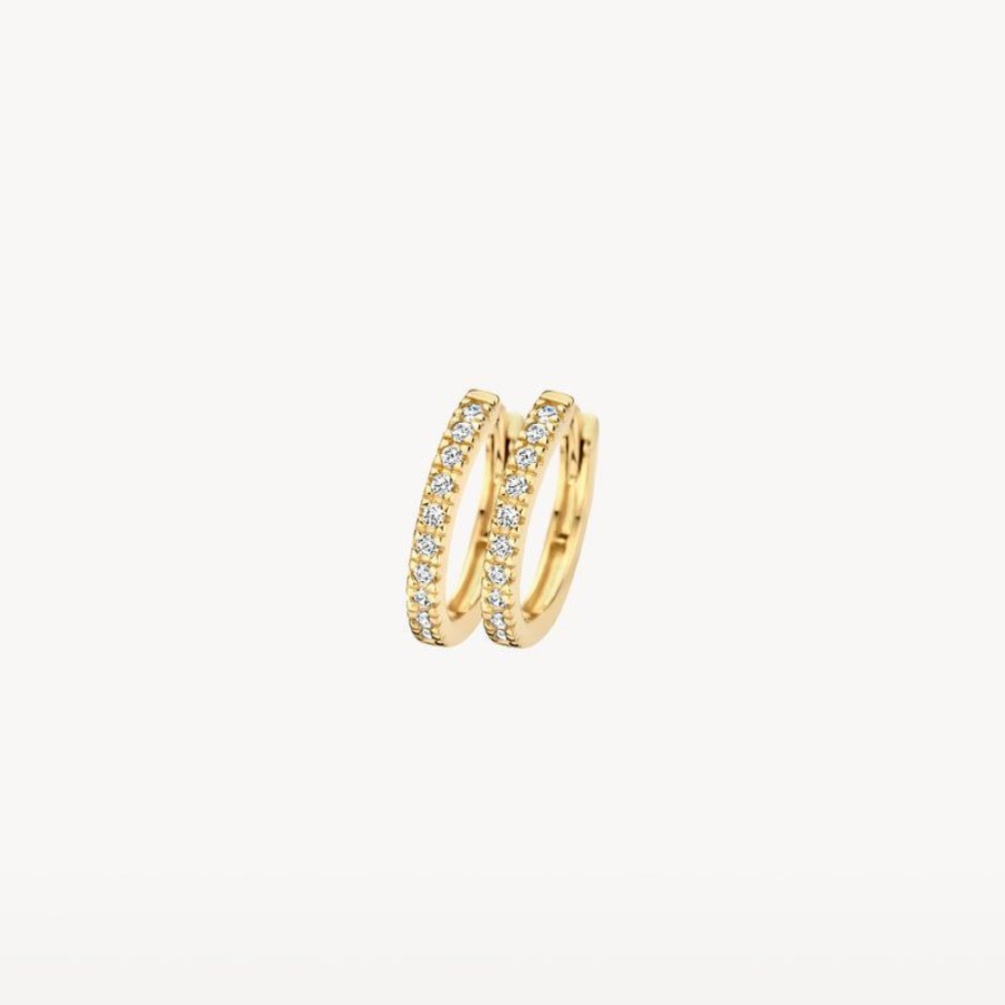 Earrings Blush | 14K Yellow Gold With Zirconia