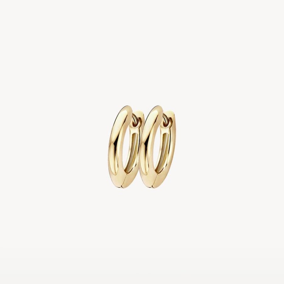 Earrings Blush | 14K Yellow Gold