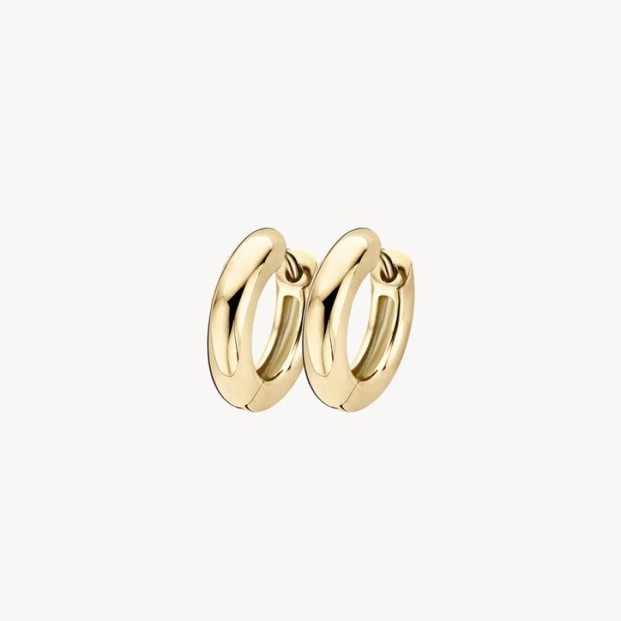 Earrings Blush | 14K Yellow Gold