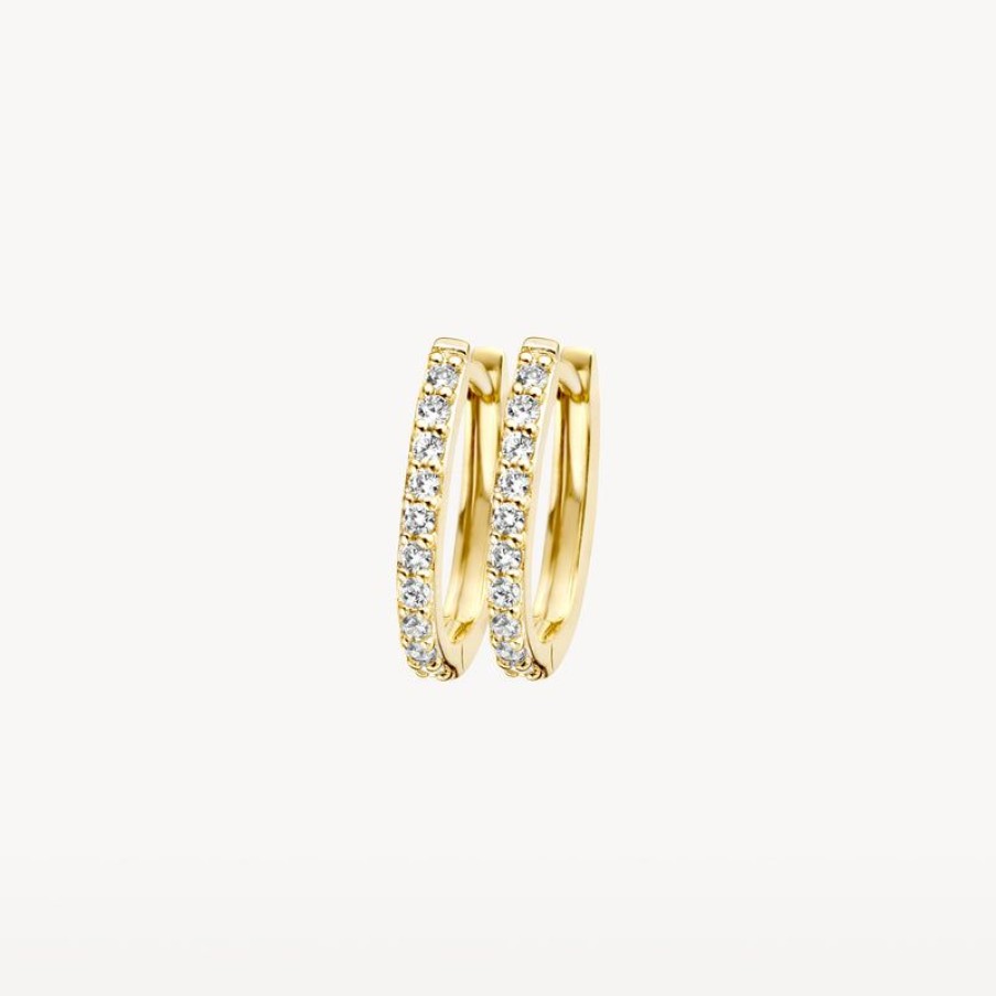 Earrings Blush | 14K Yellow Gold With Zirconia