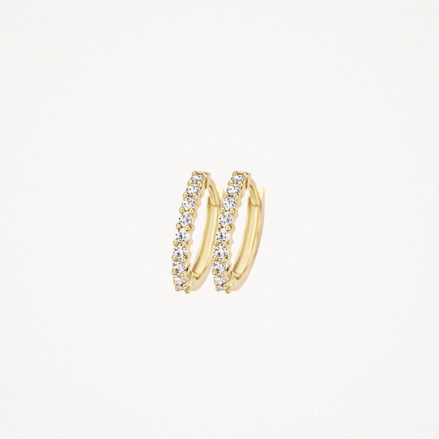 Earrings Blush | 14K Yellow Gold With Zirconia