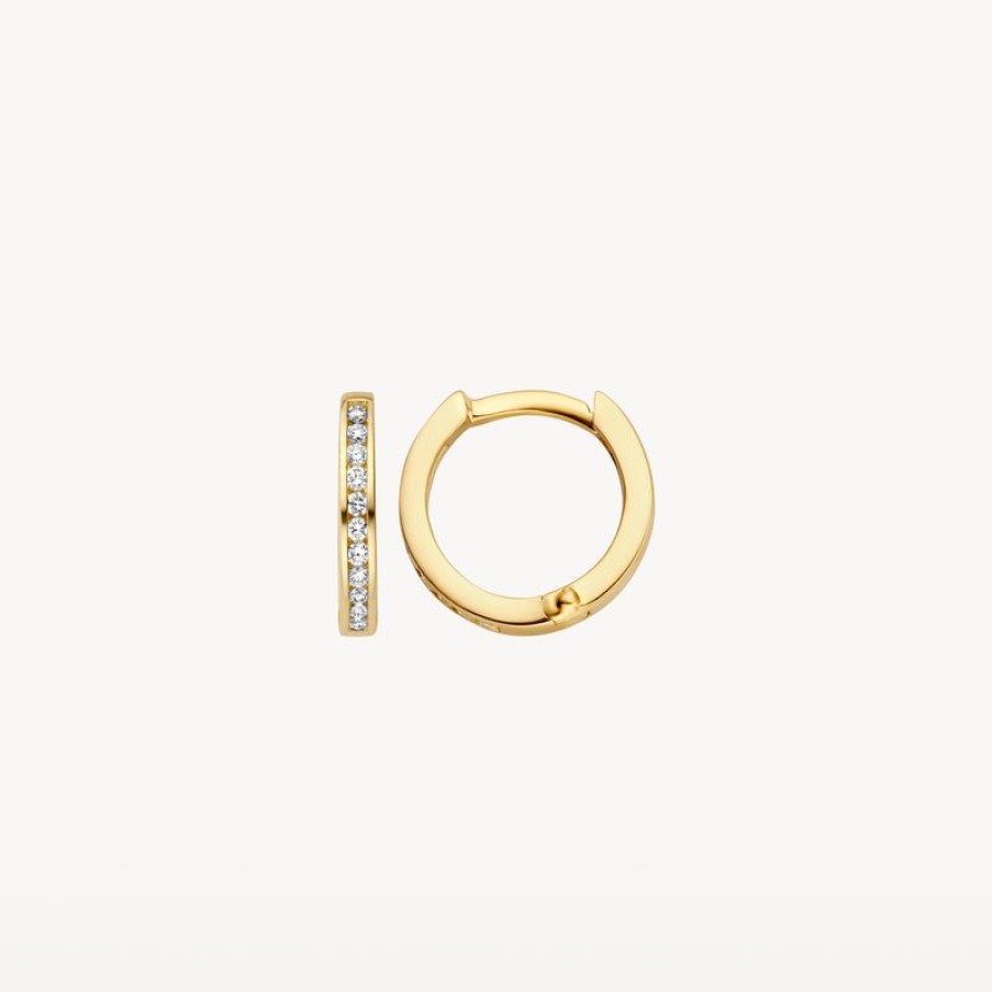 Earrings Blush | 14K Yellow Gold With Diamond