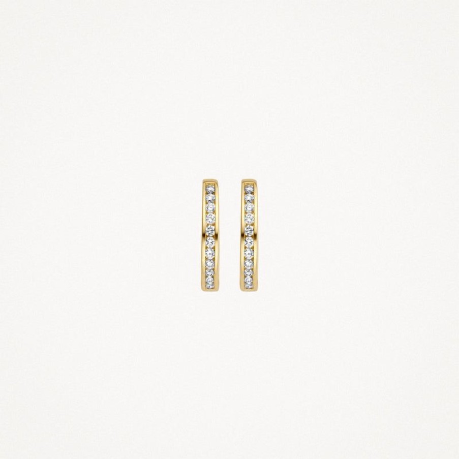 Earrings Blush | 14K Yellow Gold With Diamond