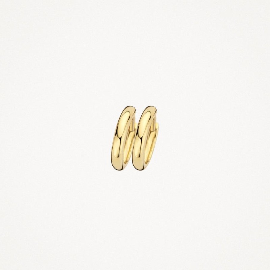 Earrings Blush | 14K Yellow Gold